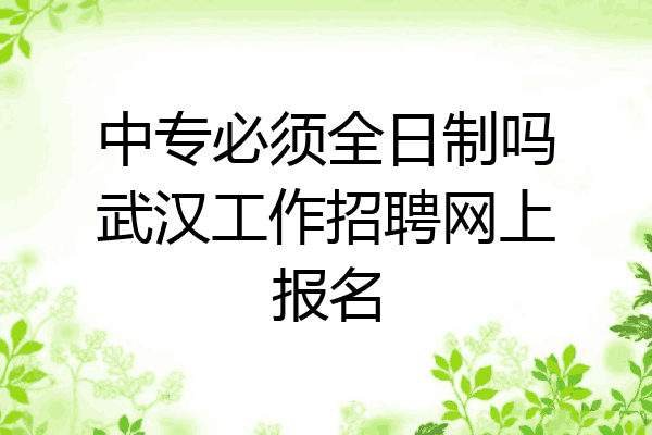 中专必须全日制吗武汉工作招聘网上报名