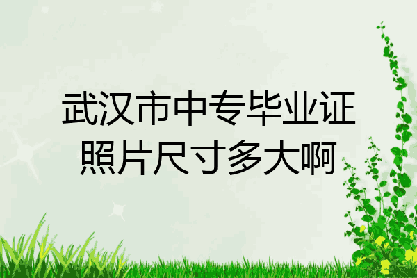 武汉市中专毕业证照片尺寸多大啊