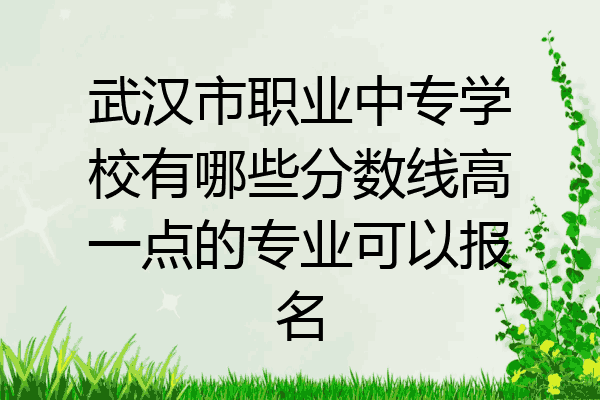 武汉市职业中专学校有哪些分数线高一点的专业可以报名