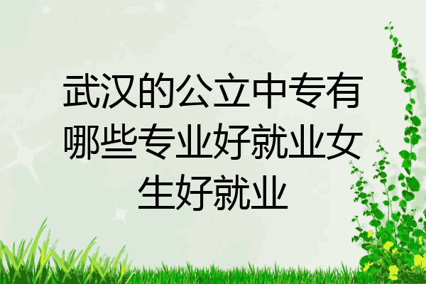 武汉的公立中专有哪些专业好就业女生好就业