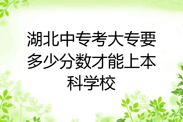 湖北中专考大专要多少分数才能上本科学校