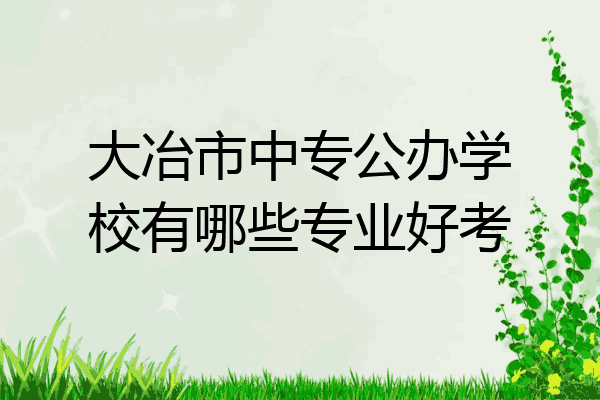 大冶市中专公办学校有哪些专业好考