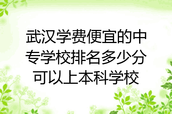 武汉学费便宜的中专学校排名多少分可以上本科学校