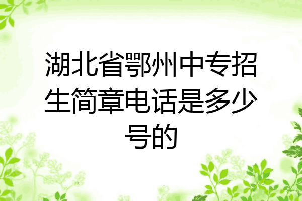 湖北省鄂州中专招生简章电话是多少号的