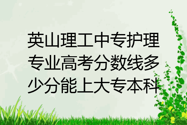 英山理工中专护理专业高考分数线多少分能上大专本科