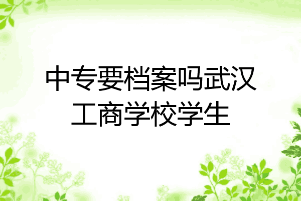 中专要档案吗武汉工商学校学生