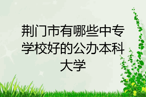 荆门市有哪些中专学校好的公办本科大学