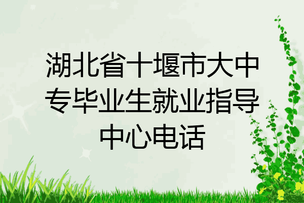 湖北省十堰市大中专毕业生就业指导中心电话
