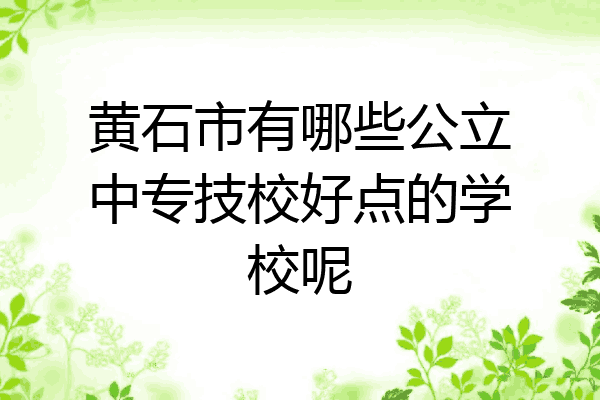 黄石市有哪些公立中专技校好点的学校呢