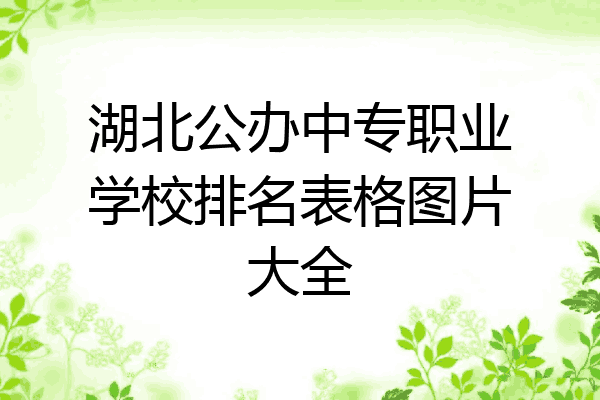 湖北公办中专职业学校排名表格图片大全