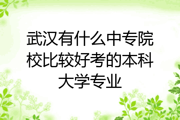 武汉有什么中专院校比较好考的本科大学专业