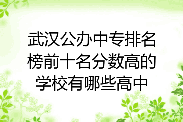 武汉公办中专排名榜前十名分数高的学校有哪些高中