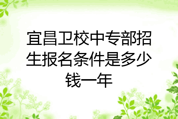 宜昌卫校中专部招生报名条件是多少钱一年