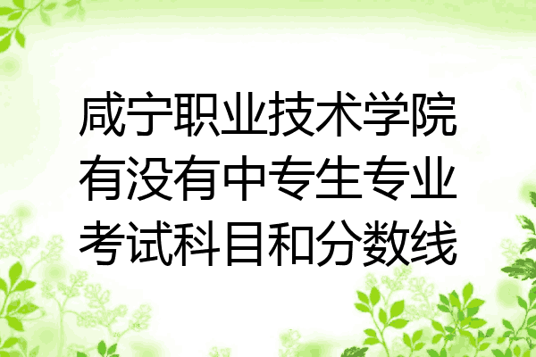 咸宁职业技术学院有没有中专生专业考试科目和分数线