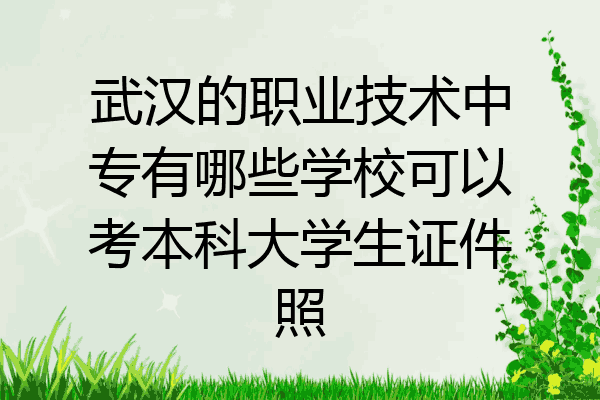 武汉的职业技术中专有哪些学校可以考本科大学生证件照