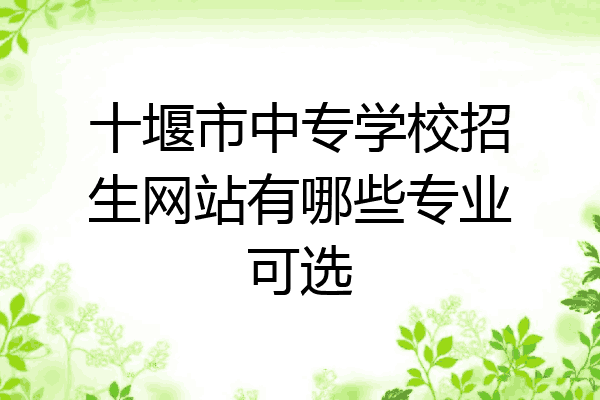 十堰市中专学校招生网站有哪些专业可选