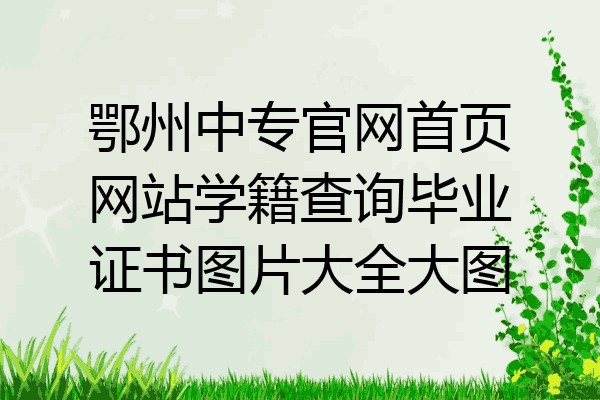 鄂州中专官网首页网站学籍查询毕业证书图片大全大图