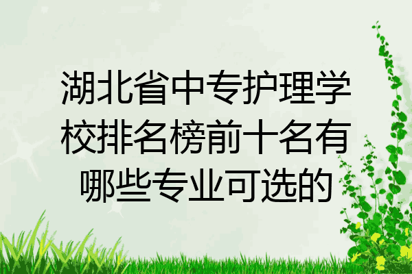 湖北省中专护理学校排名榜前十名有哪些专业可选的