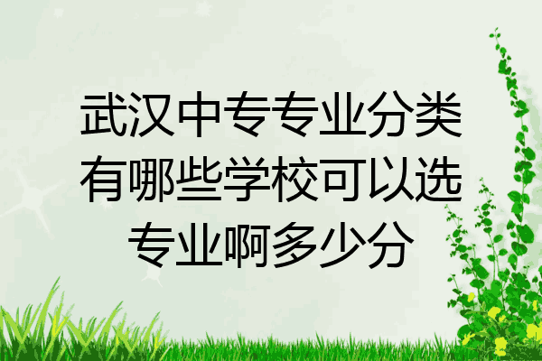武汉中专专业分类有哪些学校可以选专业啊多少分