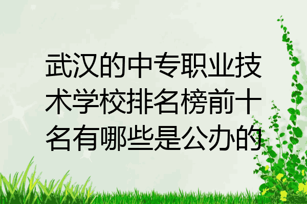 武汉的中专职业技术学校排名榜前十名有哪些是公办的