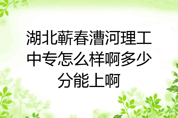 湖北蕲春漕河理工中专怎么样啊多少分能上啊