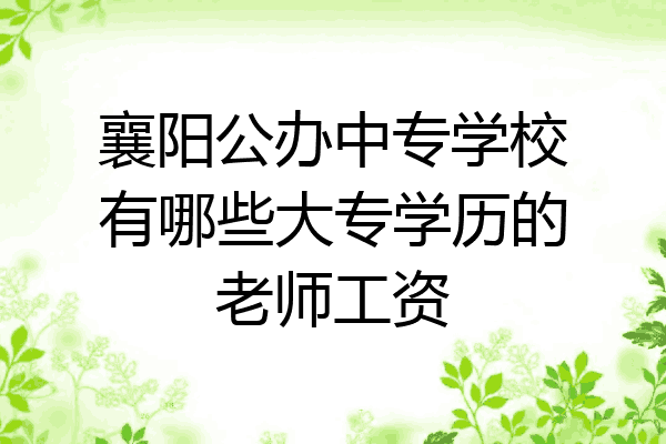 襄阳公办中专学校有哪些大专学历的老师工资