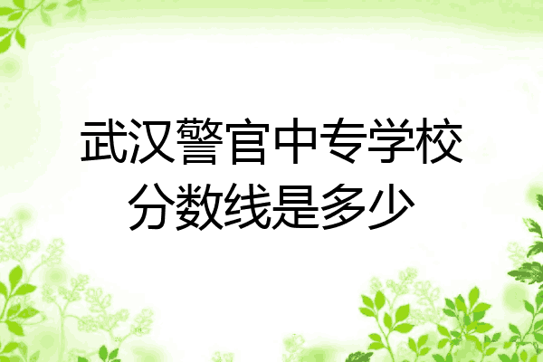 武汉警官中专学校分数线是多少