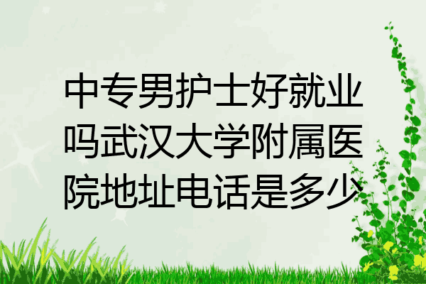 中专男护士好就业吗武汉大学附属医院地址电话是多少