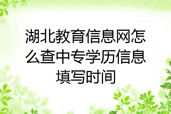 湖北教育信息网怎么查中专学历信息填写时间