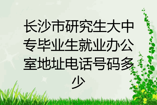 长沙市研究生大中专毕业生就业办公室地址电话号码多少
