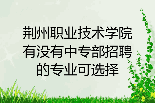 荆州职业技术学院有没有中专部招聘的专业可选择