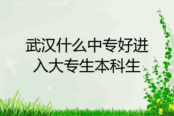 武汉什么中专好进入大专生本科生