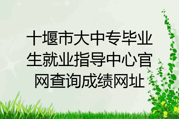 十堰市大中专毕业生就业指导中心官网查询成绩网址