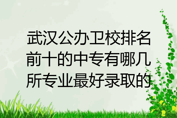 武汉公办卫校排名前十的中专有哪几所专业最好录取的