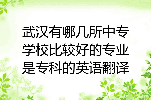 武汉有哪几所中专学校比较好的专业是专科的英语翻译