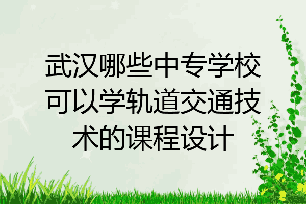 武汉哪些中专学校可以学轨道交通技术的课程设计