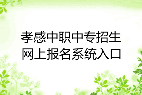 孝感中职中专招生网上报名系统入口