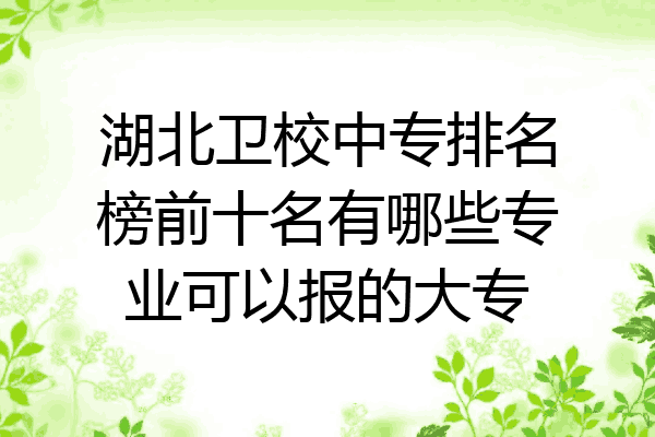 湖北卫校中专排名榜前十名有哪些专业可以报的大专