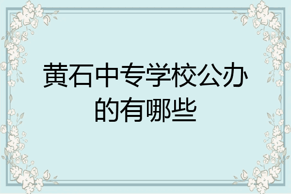 黄石中专学校公办的有哪些