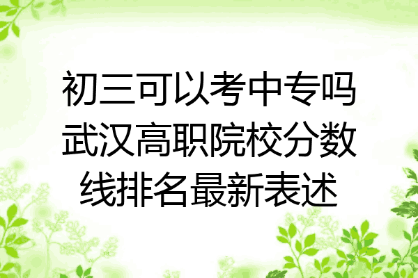初三可以考中专吗武汉高职院校分数线排名最新表述