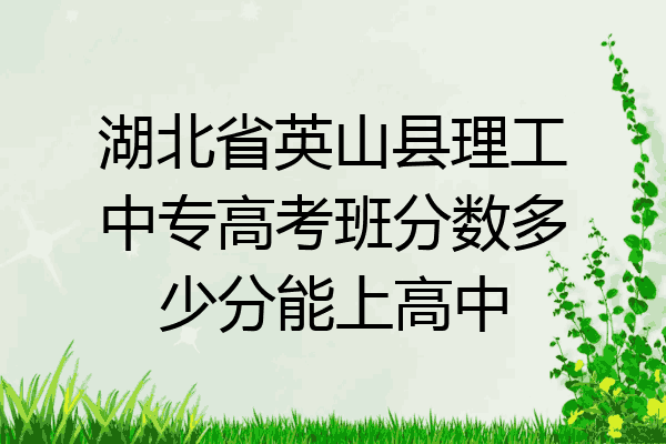 湖北省英山县理工中专高考班分数多少分能上高中