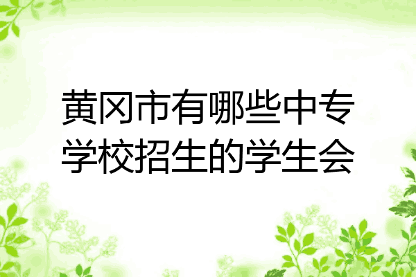 黄冈市有哪些中专学校招生的学生会