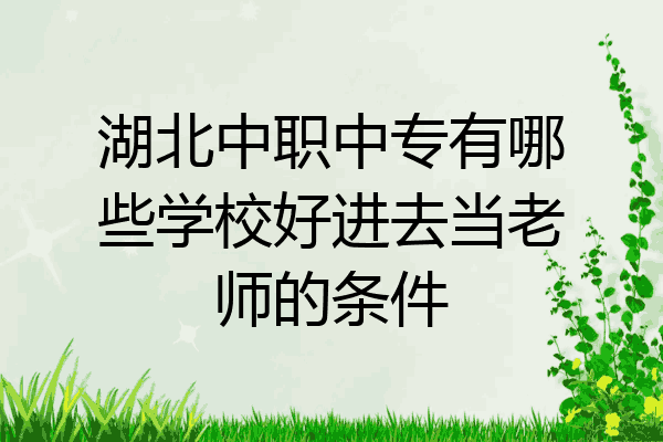 湖北中职中专有哪些学校好进去当老师的条件