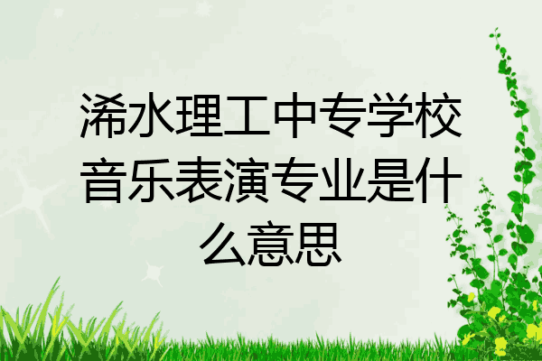 浠水理工中专学校音乐表演专业是什么意思