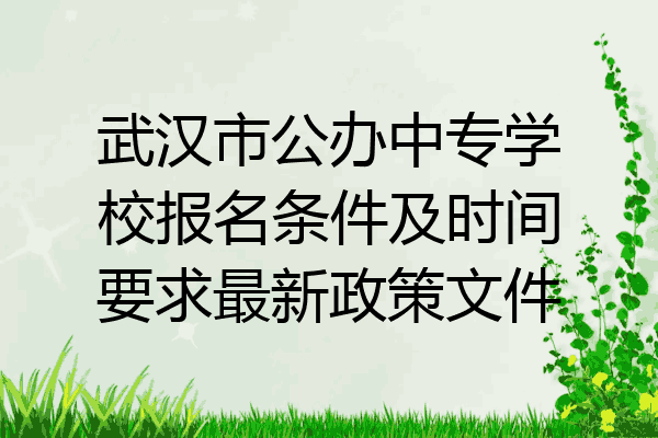 武汉市公办中专学校报名条件及时间要求最新政策文件