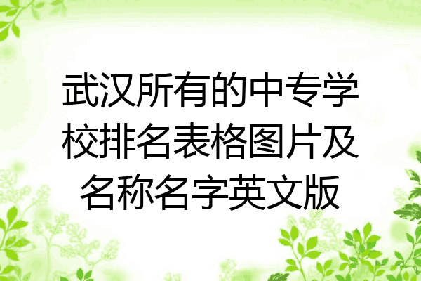 武汉所有的中专学校排名表格图片及名称名字英文版