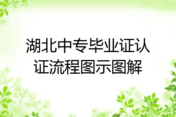 湖北中专毕业证认证流程图示图解