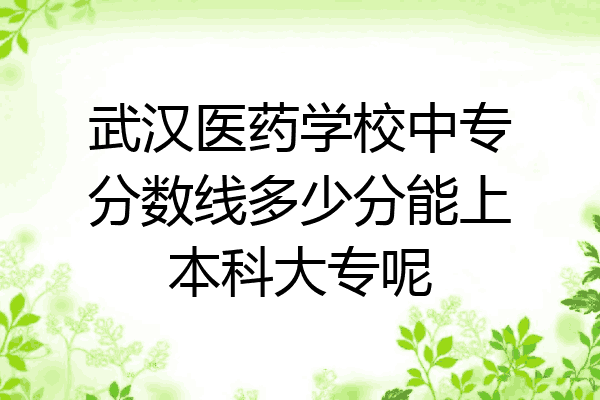 武汉医药学校中专分数线多少分能上本科大专呢