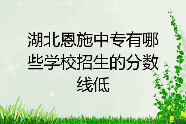 湖北恩施中专有哪些学校招生的分数线低