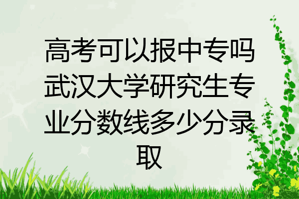高考可以报中专吗武汉大学研究生专业分数线多少分录取